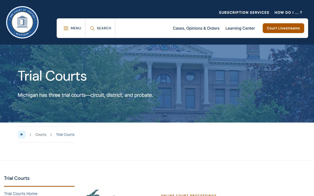 Arenac County court records categories in the Michigan trial courts overview
